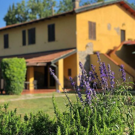 Agriturismo Santa Lorica 사세타 외부 사진