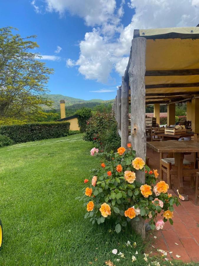 Agriturismo Santa Lorica 사세타 외부 사진