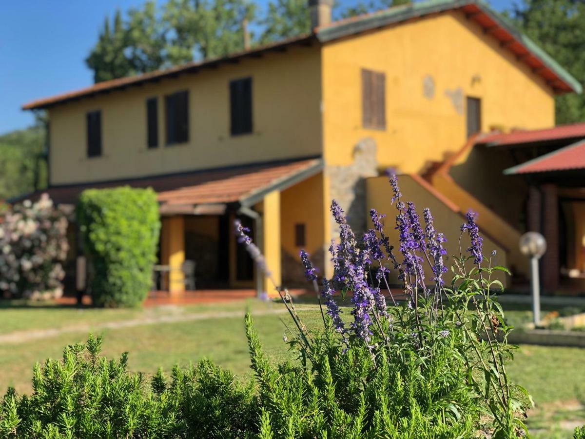 Agriturismo Santa Lorica 사세타 외부 사진