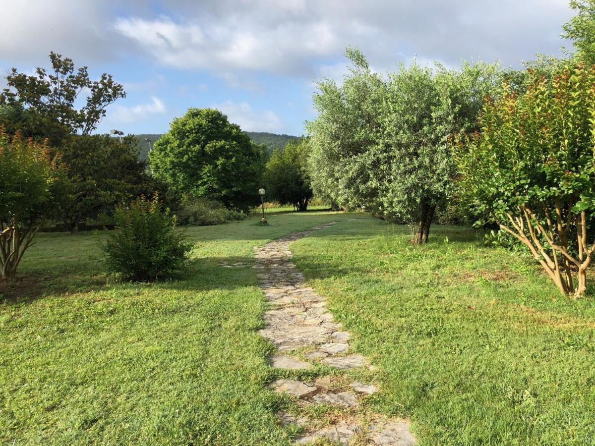 Agriturismo Santa Lorica 사세타 외부 사진