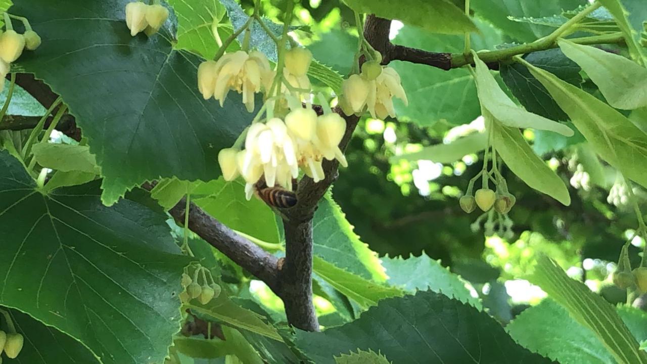 Agriturismo Santa Lorica 사세타 외부 사진