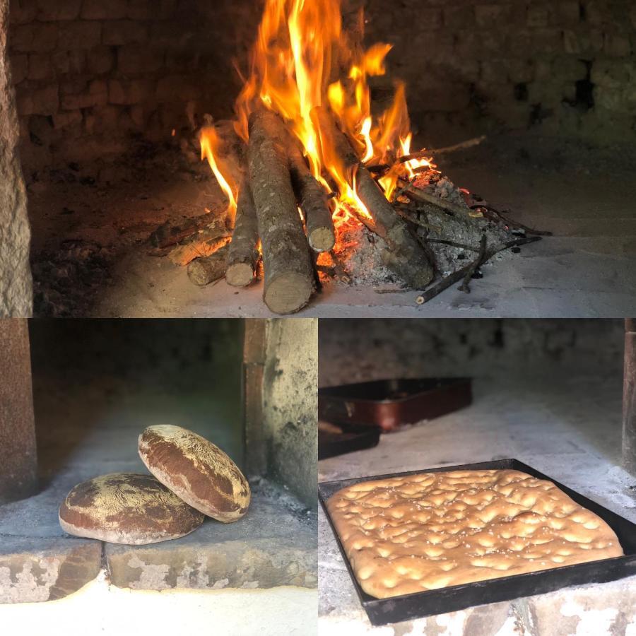 Agriturismo Santa Lorica 사세타 외부 사진