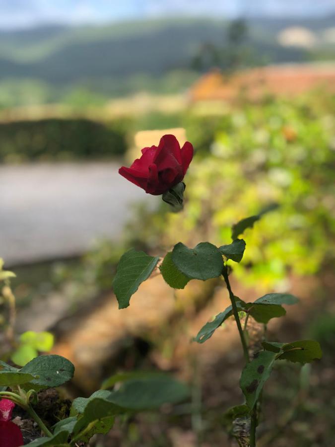 Agriturismo Santa Lorica 사세타 외부 사진