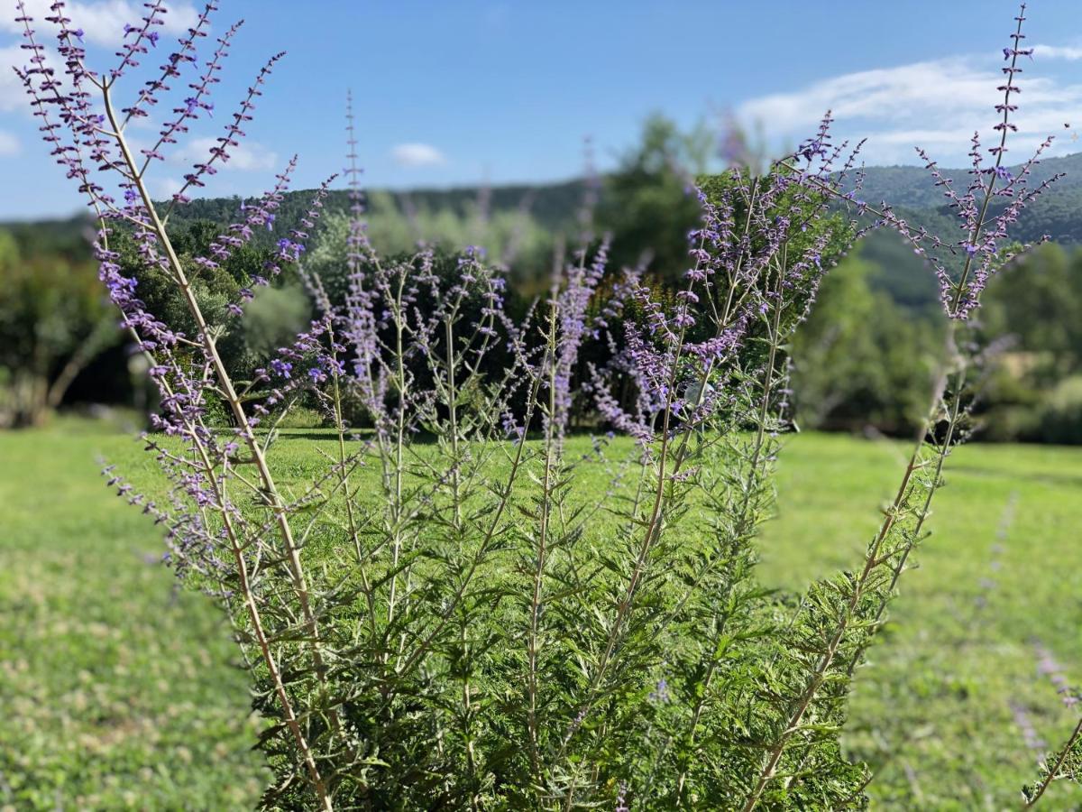 Agriturismo Santa Lorica 사세타 외부 사진